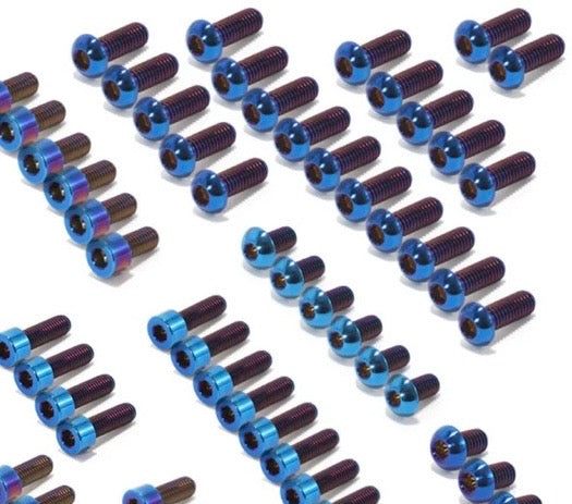 Ultra bee titanium bolts