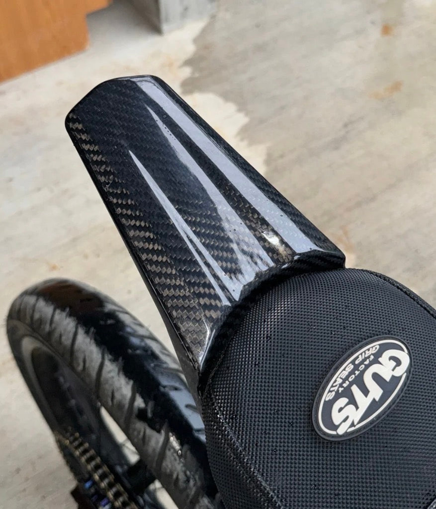 E Ride Pro REAL carbon fender